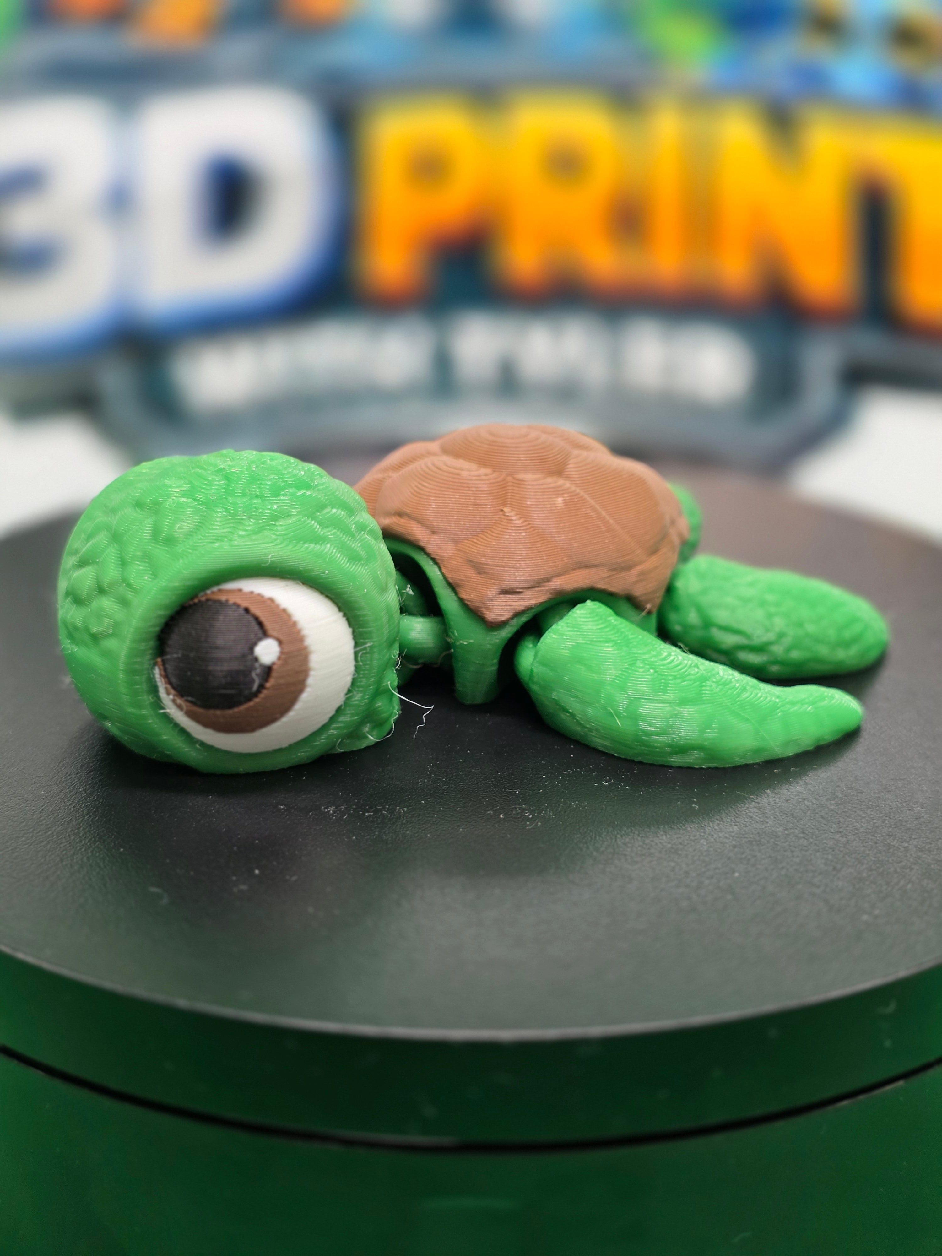 Sea Turtle – Articulated 3D Printed Turtle Toy