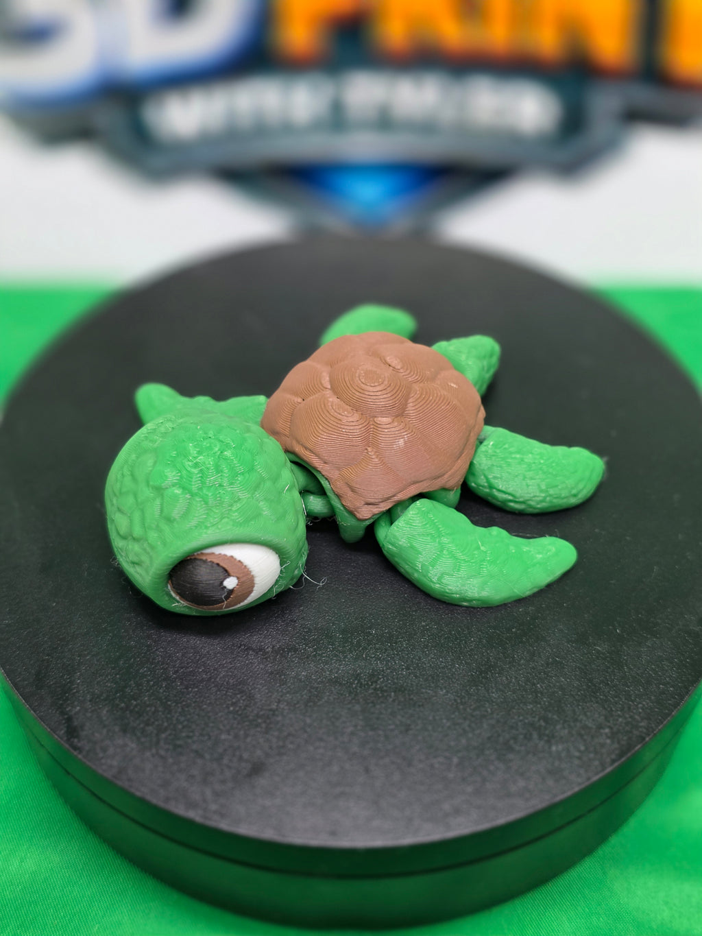 Sea Turtle – Articulated 3D Printed Turtle Toy