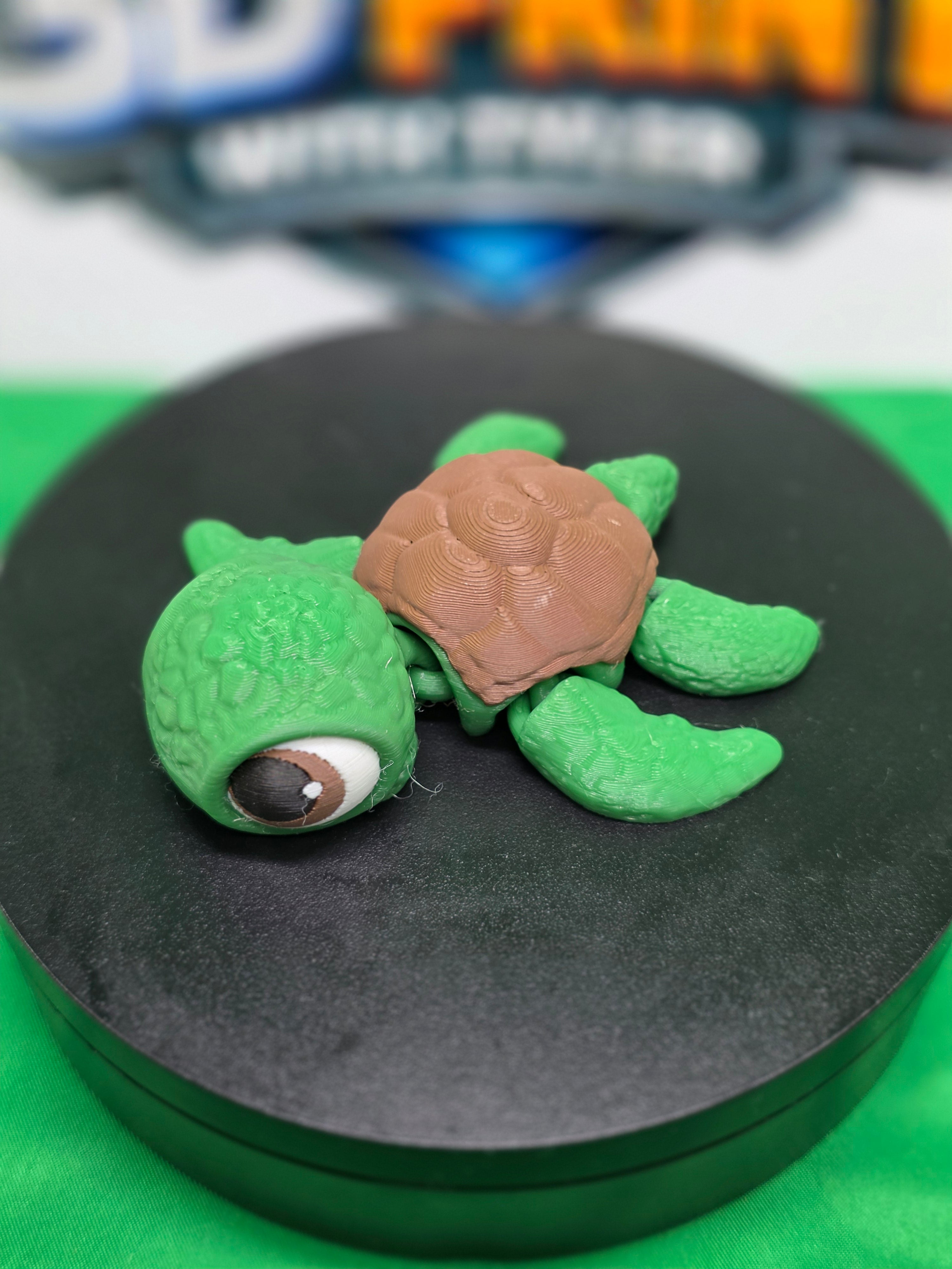 Sea Turtle – Articulated 3D Printed Turtle Toy