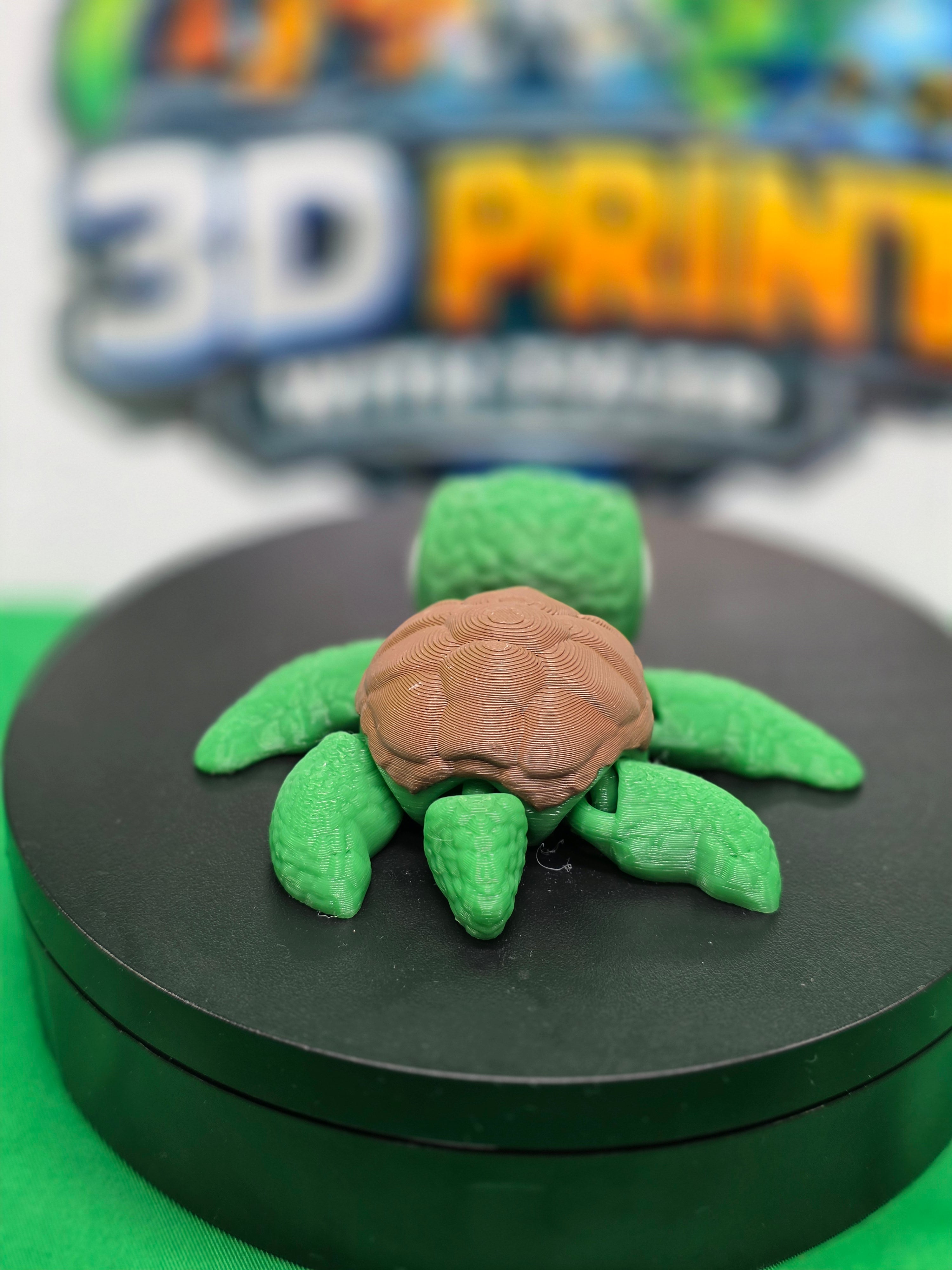 Sea Turtle – Articulated 3D Printed Turtle Toy