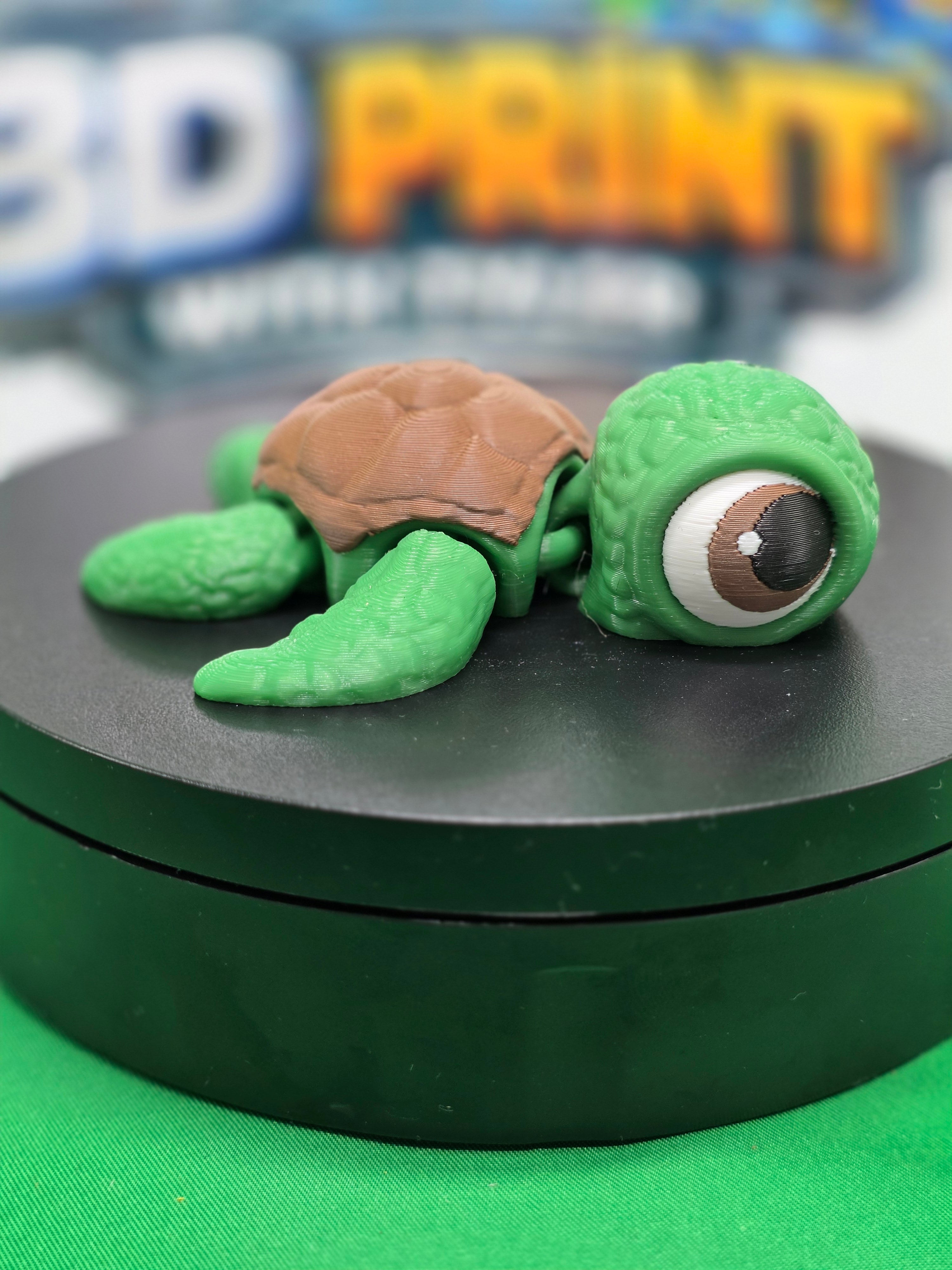 Sea Turtle – Articulated 3D Printed Turtle Toy