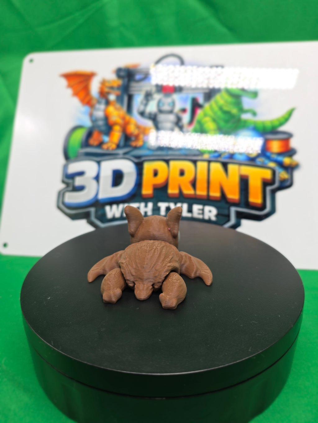 Bat Turtle – Articulated 3D Printed Turtle Toy