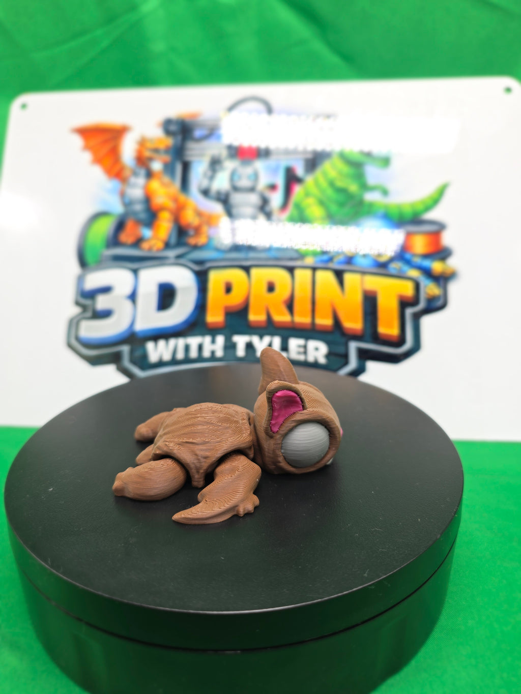 Bat Turtle – Articulated 3D Printed Turtle Toy