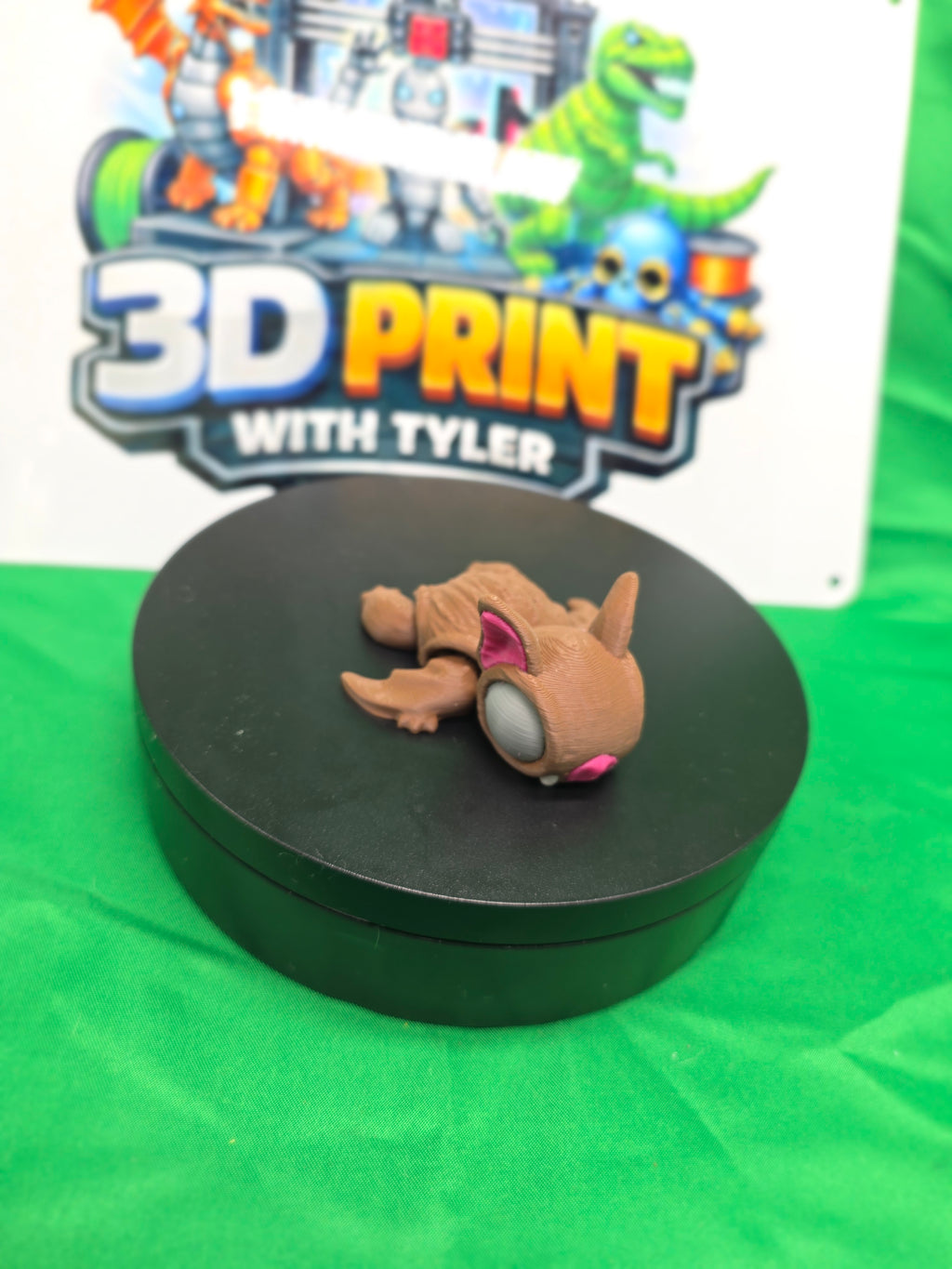Bat Turtle – Articulated 3D Printed Turtle Toy